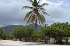 St. Martin Motorized Vehicle Tour cruise excursion
